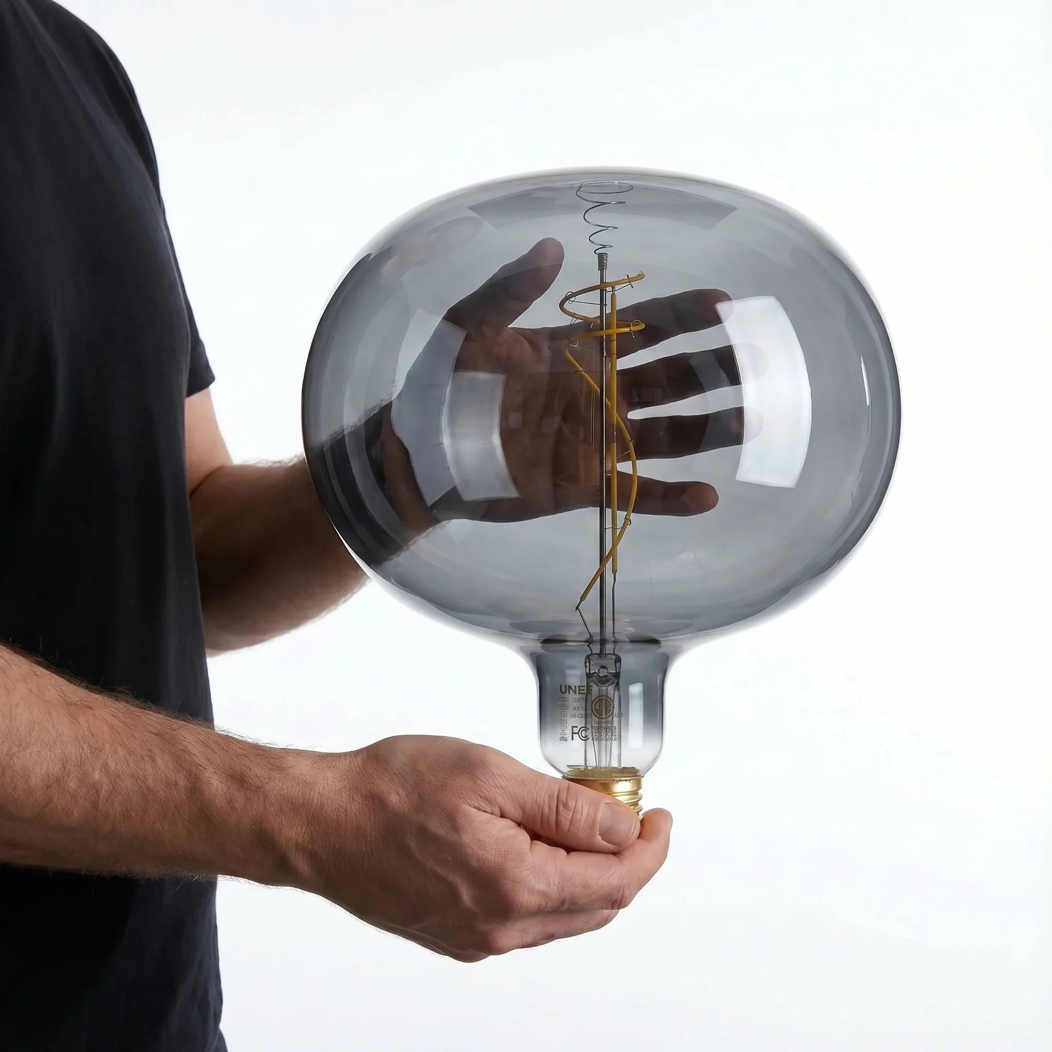 Oversized Edison LED Ellipse Bulb 220