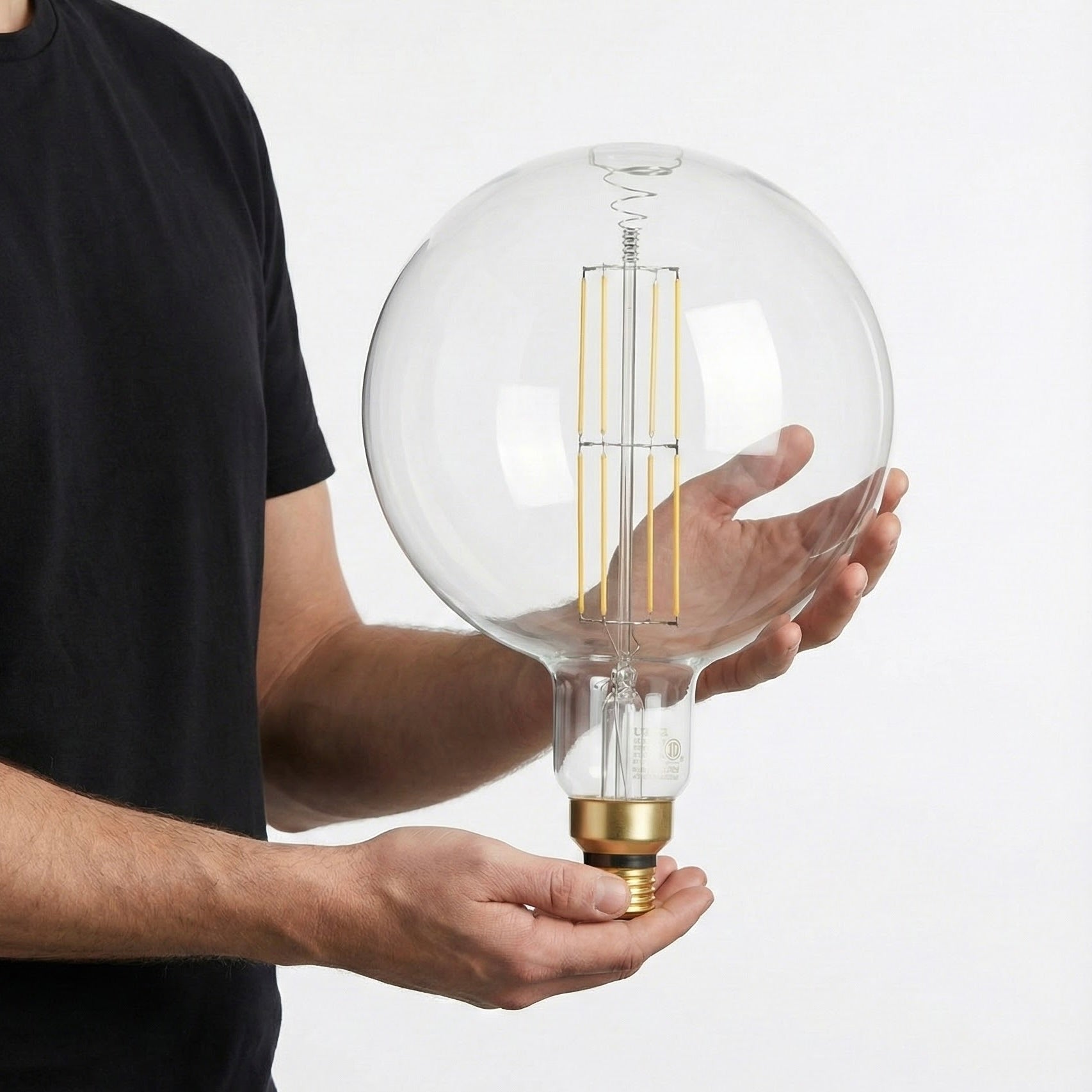 Person holding a large clear light bulb with a white background