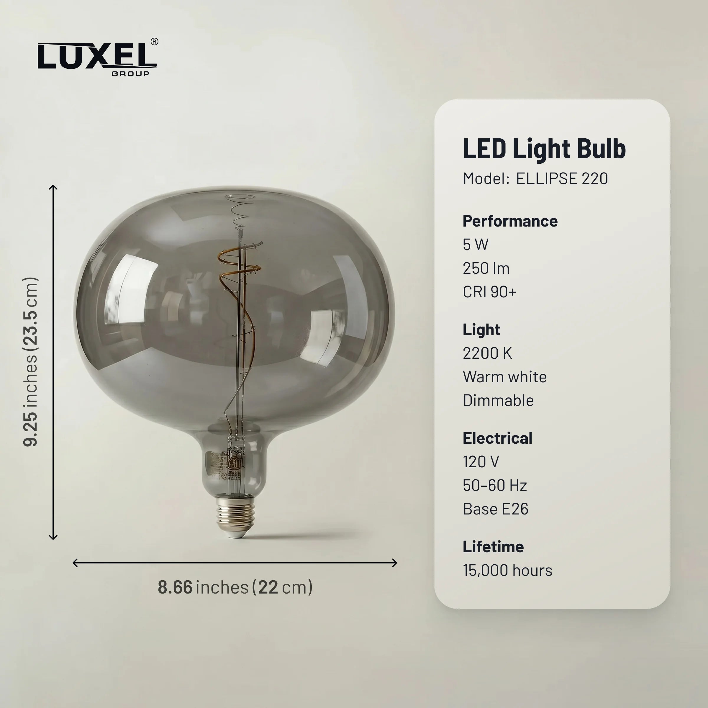 Oversized Edison LED Ellipse Bulb 220