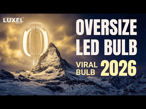 Oversized_Edison_LED_Ellipse_Bulb_170_video