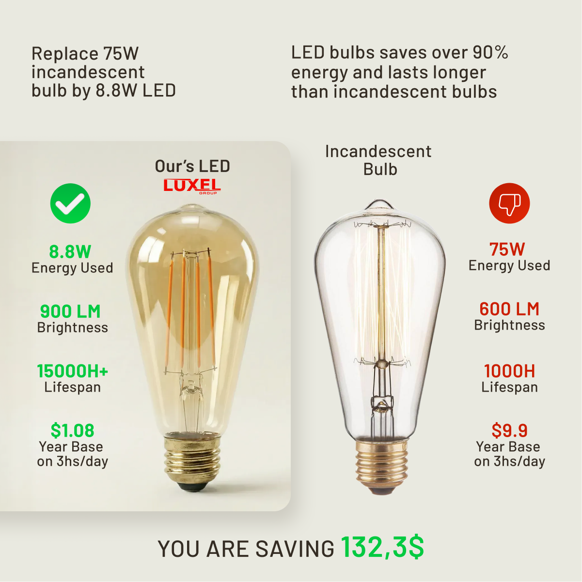 Comparison of LED and incandescent light bulbs with energy savings and cost details.