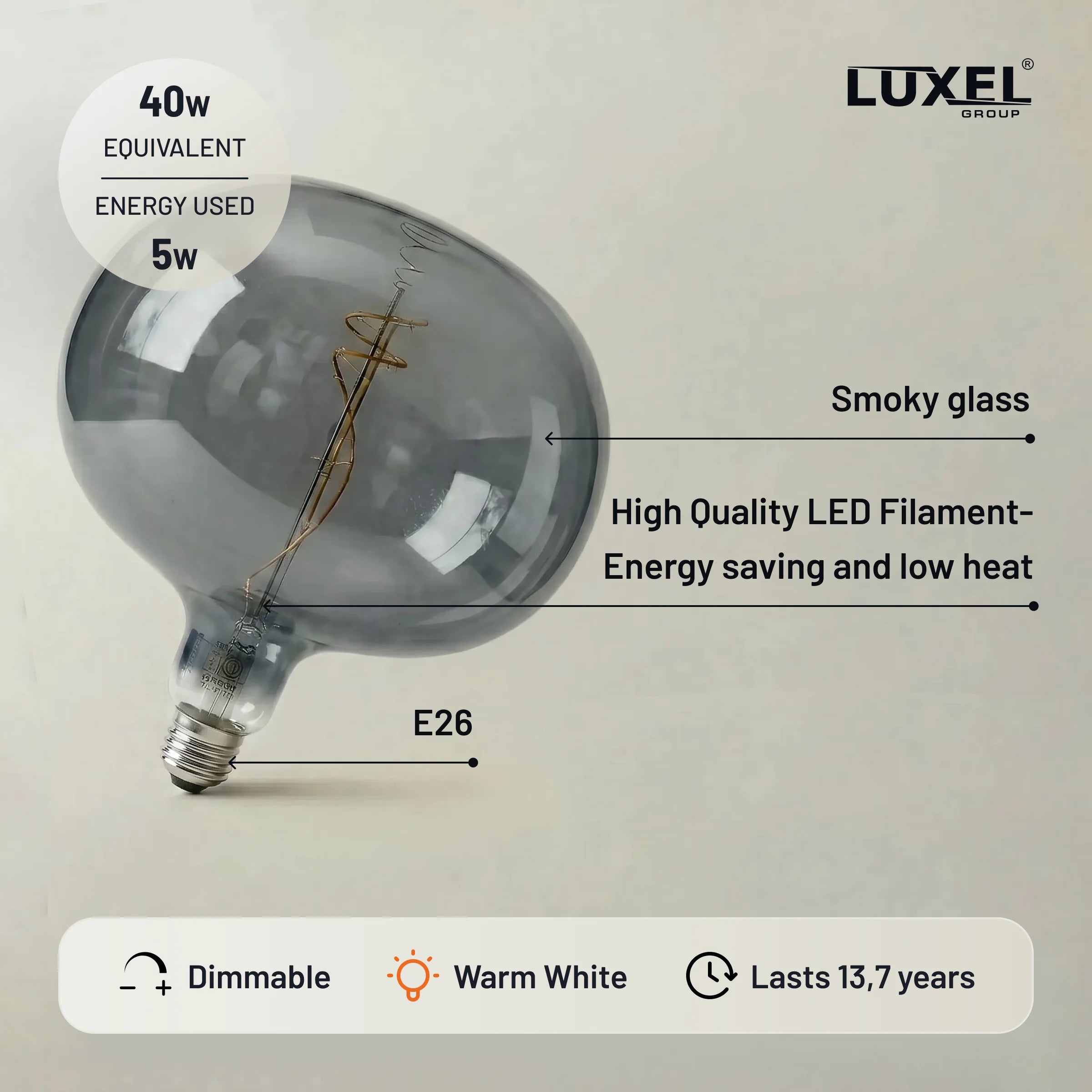 Oversized Edison LED Ellipse Bulb 220