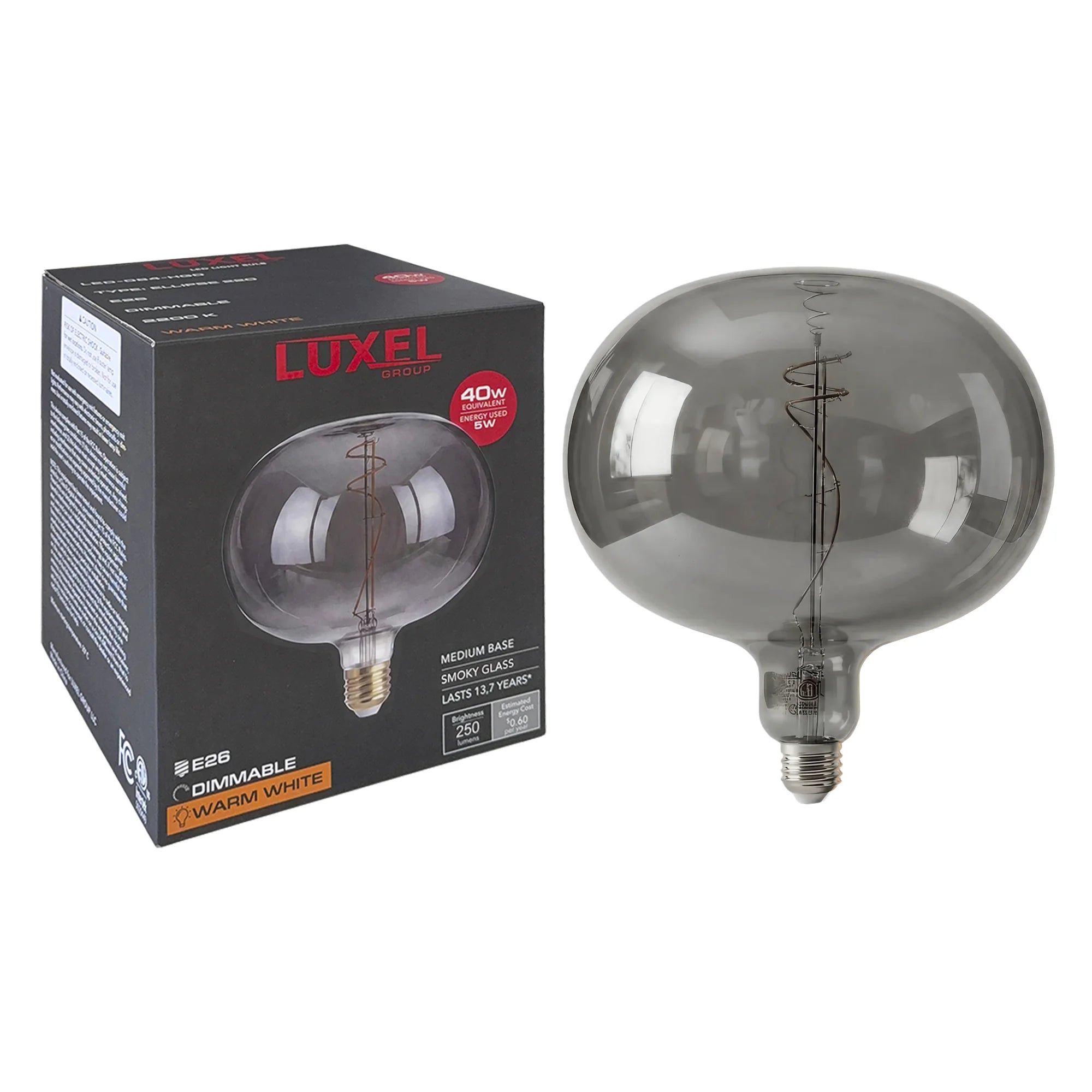Oversized Edison LED Ellipse Bulb 220