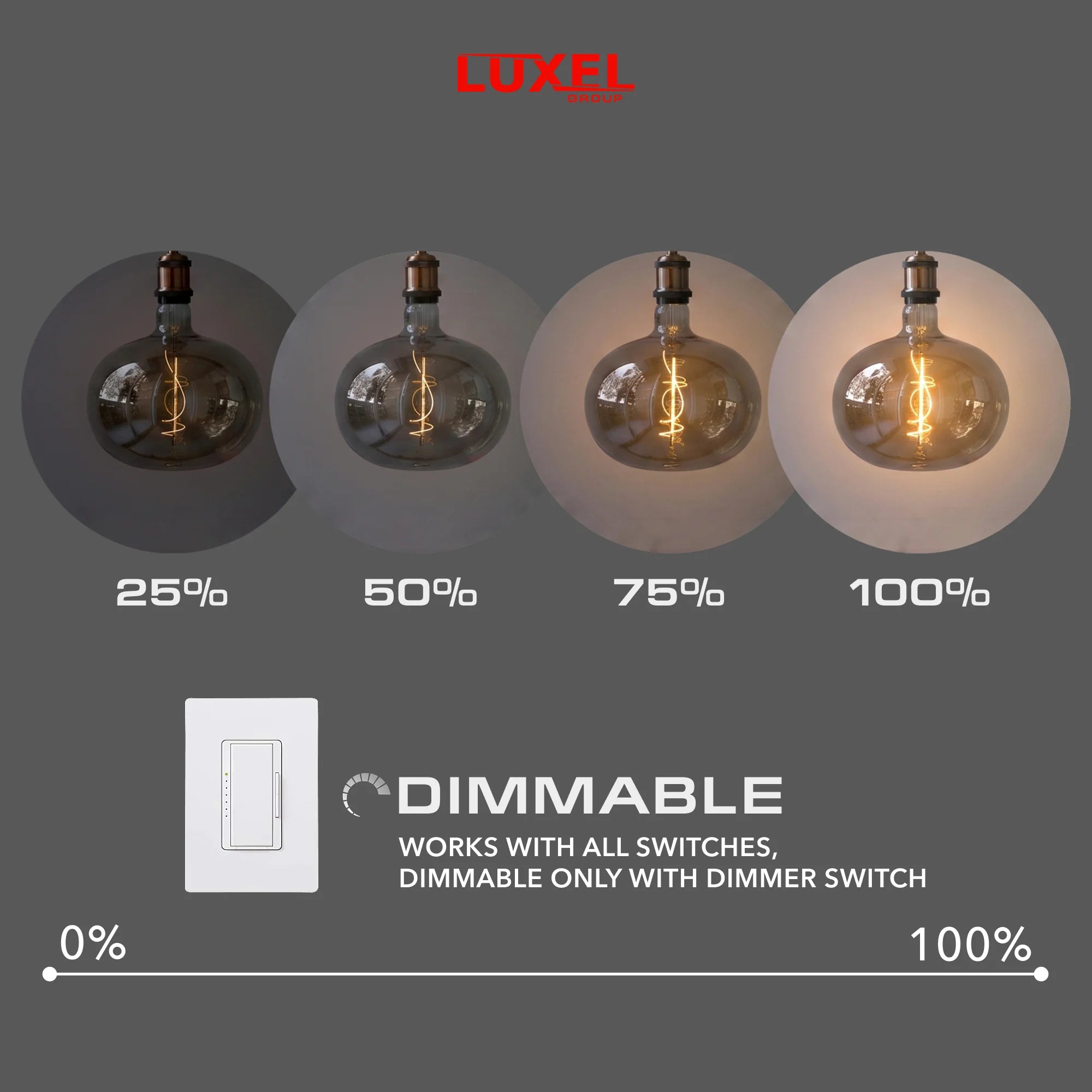 Oversized Edison LED Ellipse Bulb 220