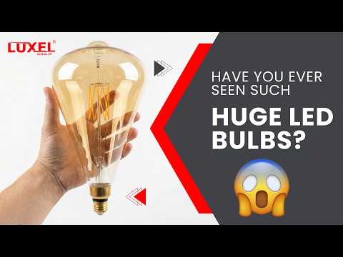 Oversized_Edison_LED_Bulb_ST164_Smoke_video